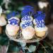 Rsstarxi 24 Pack 2024 Graduation Cupcake Toppers Glitter Congrats Grad 2024 Graduation Cap Diploma Cupcake Picks for Class of 2024 Graduation Theme Party Cake Decorations Blue - Buy Online on SooperMarket.com