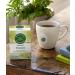 Traditional Medicinals Organic Fennel Herbal Tea - Digestive Health Support (Pack of 2, 32 Tea Bags) - Buy Online on SooperMarket.com