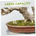 HAPINARY 3pcs Mini Liquid Feeder Ants Water Feeding Clear Ants Feeder Plastic Insect Feeder - Buy Online on SooperMarket.com