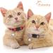 Extodry 6 Pack Plaid Cat Collars with Bells - Breakaway Kitten Collar | Adjustable 7-12in Cute Kitty Collar for Girl Boy Cats - Buy Online on SooperMarket.com