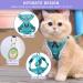 Buy Tikxlafe Cat Dishes with 150 cm Leash Adjustable Polyester Cat Linen Set for Kittens (Blauer See Size S) | International Shipping - Buy Online on SooperMarket.com