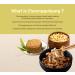 6oz Korean Cheonggukjang Powder - Nattokinase Source | Vegan Natto Powder with Vitamin K2 | Less Smell | Fermented Soybean Powder - Buy Online on SooperMarket.com