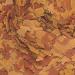 Tropical Vitality & Colour Flakes - 100 g - Buy Online on SooperMarket.com