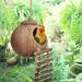 Niteangel Natural Bird Nests Coconut Hideaway with Ladder Bird and Small Animal Toy (House with Ladder Natural Surface) House with Ladder Natural Surface - Buy Online on SooperMarket.com