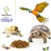 UGF Premium Dried Mealworms 250g | Insect Snacks for Birds Hamsters Hedgehogs Rodents Lizards & Turtles - No Preservatives or Dyes - Buy Online on SooperMarket.com