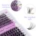 D Curl Cluster Lashes 0.07mm 12-16mm C4+ZW Mixed DIY Lash Extensions | Reusable Soft Wispy Individual Clusters | RR-12-16mm Classic/Mega-0.07D - Buy Online on SooperMarket.com