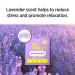 Soo AE Me-Time Lavender Self-Heating Eye Mask 6 Count - Relief from Eye Fatigue & Dry Eyes - Moist Hot Compress Patch for Sleeping - Made in Korea - Buy Online on SooperMarket.com