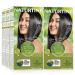 Naturtint Permanent Hair Color 1N Ebony Black (Pack of 6) Ammonia Free Vegan Cruelty Free up to 100% Gray Coverage Long Lasting Results 1 Count (Pack of 6) Ebony Black