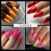 Dual Nail Forms ALMOND Extension - 12 Sizes Full Cover Molds for Poly Nail Gel | Perfect for Salon & DIY Nail Art - Buy Online on SooperMarket.com