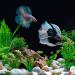Omjmyy 21-Piece Artificial Aquarium Plants Set | Vibrant Plastic Decorations for Fish Tanks & Aquatic Landscapes - Buy Online on SooperMarket.com
