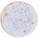 Ginger Ray Pink Flower Paper Birthday Plates | Party Tableware | Pack of 8 - International Shipping Available - Buy Online on SooperMarket.com