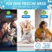 FreeClean Bio Ruchs Neutralizer Concentrate 1000ml - Extra Strong Enzyme Cleaner for Cats | Highly Concentrated Odor Remover & Textile Freshener | Made in Germany - Buy Online on SooperMarket.com