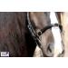 Buy Tysons Breeches Cavesson Leather - Extra Large Coldblood X-Full XX Full with Bit Attachment | Premium Quality Horse Tack - Buy Online on SooperMarket.com