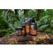 Every Man Jack Men's Aged Bourbon Beard Set - Complete Grooming Essentials: Beard Wash Lotion Oil Butter & Comb - Buy Online on SooperMarket.com
