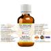 Greenwood Essential Pure Malkangani (Malkangani/Jyotishmati) Oil (Celastrus paniculatus) 15ml (0.50 oz) 15ml (0.50 Ounce) with Plastic Euro Dropper - Buy Online on SooperMarket.com