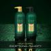 TRESemm Cruelty-Free Pro Infusion Smooth Shampoo 33.8oz - Sulfate-Free, Coconut Oil, Salon Protein, Niacinamide - Buy Online on SooperMarket.com