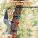 Happy Motte Tree Rock Climbing Holds for Kids - 12 Holds with 6 Ratchet Straps for Warrior Obstacle Course - Outdoor Playground Backyard Accessories - Buy Online on SooperMarket.com
