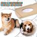 3-Pack Dog Diapers & Trousers for Bitches - Adjustable Washable Monthly Heat Protection - Buy Online on SooperMarket.com