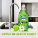 Dawn Antibacterial Apple Blossom Dish Soap 19.4 oz - Pack of 4 + 2 Sponges - Buy Online on SooperMarket.com