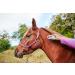 OUTPAW RFID Animal Chip Reader - Microchip Scanner for Animal Identification & ISO Transponder - Buy Online on SooperMarket.com