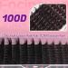 Focipeysa Fluffy Lash Clusters 100D | 10-18mm Individual D Curl Eyelash Extensions | DIY Lash Kit for Beginners | International Shipping Available - Buy Online on SooperMarket.com