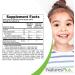 NaturesPlus Animal Parade Vitamin C Chewable Tablets for Kids - Vegan Gluten-Free - Natural Orange Flavor - 90 Animal-Shaped Tablets (Pack of 2) - Boost Immunity - Buy Online on SooperMarket.com