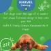 Doggy Dailies Calming Chews | Anxiety & Stress Relief for Dogs | 180 Chewable Treats | Supports Nervous Dogs | Promotes Calmness in 4-6 Weeks - Buy Online on SooperMarket.com
