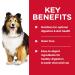 Hill's Science Diet Adult Sensitive Stomach & Skin Canned Dog Food Chicken & Vegetable Entr e & Senior 7+ Canned Dog Food Savory Stew with Beef & Vegetables 12.8 oz 12 Pack wet dog food - Buy Online on SooperMarket.com