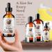 Bella Terra Argan Oil 2oz - Best Hair Oil for Frizzy Hair & Radiant Skin Packed with Vitamin E & Omega Fats - Nature's Serum (Pack of 1 - Buy Online on SooperMarket.com
