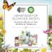 Air WICK Fragrance Oil Duo - Summer Pleasure Fruity Fresh Room Fragrance | Eco-Friendly Plastic-Free Packaging - 2 Pieces - Buy Online on SooperMarket.com