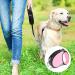 Retractable Dog Lead 5M Long Extendable with Non-Slip Handle & Adjustable Dog Lead One-Hand Brake Pause Lock 360 Universal Anti-winding with Bonus Training Clicker for Small Medium Dogs (Pink) - Buy Online on SooperMarket.com