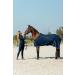 Horze Tessa Women's Silicone Full Seat Riding Tights - Peacoat Dark Blue, Size 30 - Buy Online on SooperMarket.com