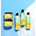 Curls Blueberry Bliss Control Jelly 8oz - Define & Defrizz for Wash & Go's, Twist Outs, Braid Outs, Roller Sets - All Hair Types - Buy Online on SooperMarket.com