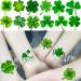 48 PCS FANRUI 3D Shamrock Temporary Tattoos - Saint Patrick's Day Party Favor for Kids & Adults - Lucky Green Four Leaf Clover Decals - Buy Online on SooperMarket.com