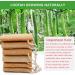 Organic Natural Bath Loofahs 6 Pack for Men and Women - Exfoliating Body Scrubber Sponges for Deep Cleaning - Includes 2 Wall Hooks - Buy Online on SooperMarket.com