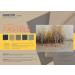 MAIMOUFIN 10 Sheets Sanded Pastel Paper 15.4 * 10.7inch Pastel Paper for Dry Wet Painting  Art Supplies Craft Paper Warm Color Sanded Paper for Pastels Pencils & Charcoal Soft Pastels (Warm Brown)