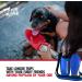 Tuff Pupper PupFlask Neoprene Dog Water Bottle Holder Sling - 27oz Nebulas Blue - Adjustable Shoulder Strap for Travel, Walking & Hiking - Buy Online on SooperMarket.com