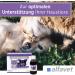 Alfavet Reconvales Antiphos - Kidney Support for Cats & Dogs | Nutritional Supplements with Phosphate Binders - 3 x 90ml Bottles - Buy Online on SooperMarket.com