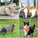 Escape-Proof Cat Harness and Leash Set - Reflective Vest for Small Cats | XXS Orange - Buy Online on SooperMarket.com
