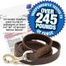 Logical Leather 4 Ft Dog Training Leash - Heavy Full Grain Brown Leather Lead - Buy Online on SooperMarket.com