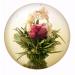 6 Tea Blower Gift Box - Blooming Green Tea Variations | Unique Gift for Birthdays Mother's Day & Christmas - Perfect for Tea Lovers - Buy Online on SooperMarket.com