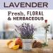 Mrs. Meyer's Lavender All-Purpose Cleaner Spray 16 fl. oz - Buy Online on SooperMarket.com