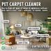 Dirtbusters Pet Carpet Cleaner Blackberry and Fig and Geranium and Chamomile 2x5 Litre Professional Carpet and Upholstery extraction shampoo solution cleaner with reactivating odour treatment. - Buy Online on SooperMarket.com