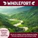 Puffed Quinoa Cereal: Vegan, Gluten Free, Non-GMO | 9 oz | Wholefort Unflavored - Crunchy Quinoa for Snacks, Cereal, Salad Topper | Sustainable Energy | Good Mood Food | Pack of 1 - Buy Online on SooperMarket.com