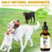 Natural Allergy Relief for Dogs - Herbal Drops for Itchy Skin & Seasonal Allergies - Supports Healthy Immune System - Bacon Flavor - 60ml - Buy Online on SooperMarket.com