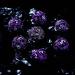 Metal DND Dice Set - Unique Round Hollow Orb Design - Purple Dragon Metal Dice for RPG - Stunning Dungeons and Dragons Set - Buy Online on SooperMarket.com