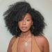 Lady Miranda Afro Short Kinky Synthetic Curly Wigs for Black Women