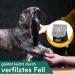 Moser Max 45 Dog Clipper - Powerful 2-Speed Animal Hair Cutter & Trimmer for Dogs Cats & Paws - 3 Attachment Sets - Buy Online on SooperMarket.com