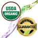 Organic Rosemary Essential Oil 10ml - Healing Solutions | 100% Pure & Natural - Buy Online on SooperMarket.com