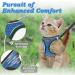 Escape Proof Cat Harness & Lead - Adjustable Reflective Kitten Vest for Outdoor Walking - Comfortable & Easy to Control - Blue XS - Buy Online on SooperMarket.com